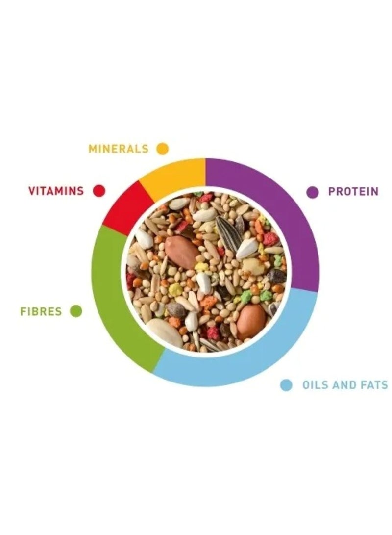 Padovan Grandmix Parrocchetti Bird Seed Mix – 400g - Image 2